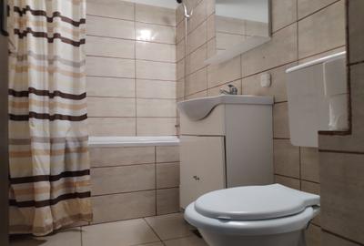 Apartament 2 camere ultracentral - UNION - 9