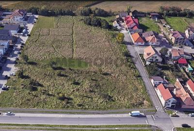 Teren Construcții intravilan de 17500 mp, în Turnișor - 2