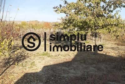 Casa Bradesti, teren 1239 mp - 29 995 Euro - 1