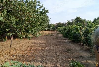 Vand proprietate cu casa batraneasca in com Leu, Dolj. - 3