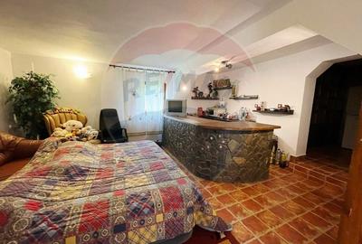 Refugiul tau de poveste in inima muntelui - casa primitoare in Durau - 6