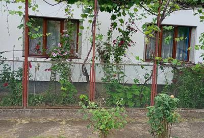 Casă cu 2 camere cu Teren 2300 Mp în Criciova - 2