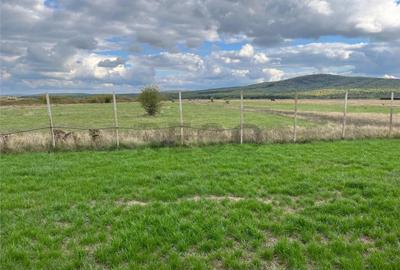 RECO Casa noua la 6 km de Oradea, in Rontau - 28