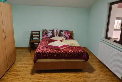 Casă individuală cu 5 camere cu Canalizare în Valu lui Traian - 18