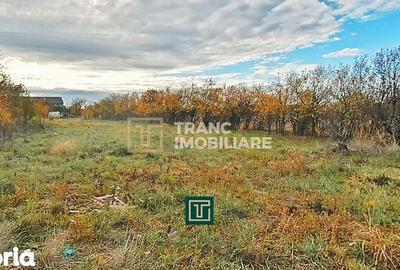 Teren de 1199 mp, în Frumușeni - 3