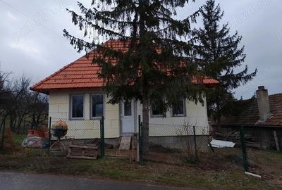 Casă cu Teren 500 Mp în Central - 2