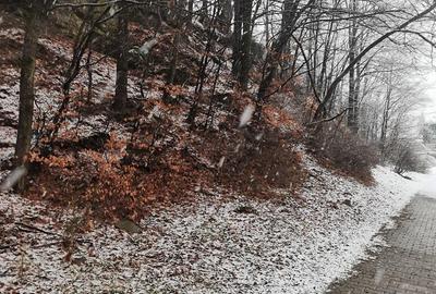 Teren intravilan situat in Busteni - 9