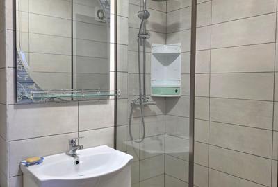 Apartament cu 2 camere decomandat, mobilat în Camil Ressu - 2