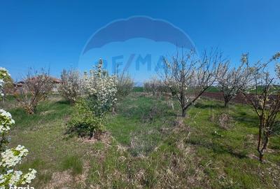 Casă cu 3 camere în Mailat - 20