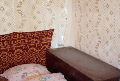 Casă cu 4 camere cu Teren 4200 Mp în Izvoru (Gogoșari) - 6