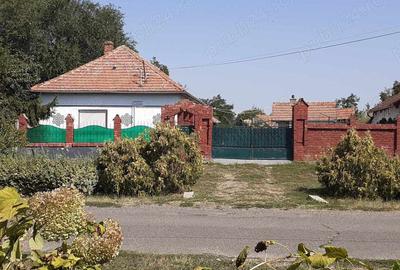 Vand casa taraneasca la 26 de km de Oradea - 9