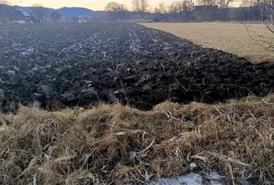 Teren de 4000 mp, în Negrești - 5