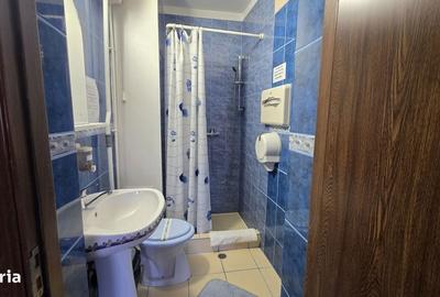 Casă cu 4 camere în Băile Felix - 4