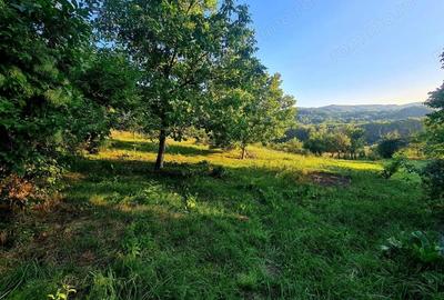 Teren de 3250 mp, în Păușești - 3