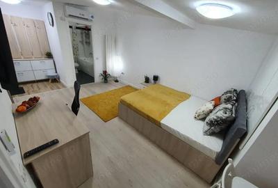 Garsonieră semidecomandată, mobilată în Parcul Carol - 4