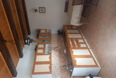 Casă cu 4 camere în Bistricioara - 10