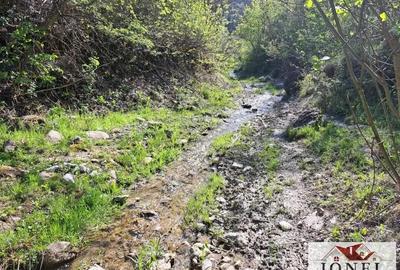 Casa de vanzare cu 46774 mp teren in zona Vintu de Jos Casa de vanzare cu 46774 mp teren in zona Vintu de Jos - 17