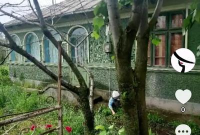 Vindem casa batraneasca langa Slobozia. - 9