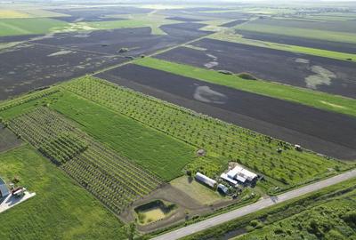 Livada de nuci ?i pruni 2.4ha in Varia?u Mare - 2