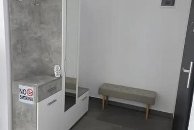Apartament cu 2 camere decomandat în Moșnița Nouă - 4