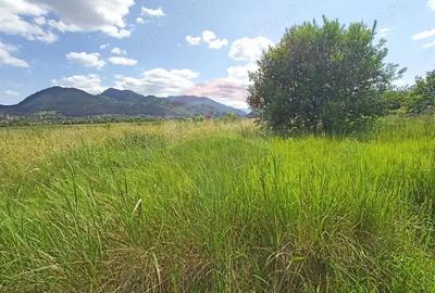 COMISION 0%! Teren 712mp Sacele / Strada Postavarului - 10