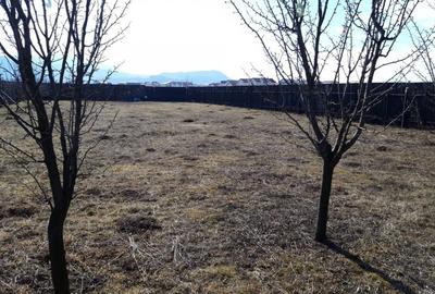 Parcela ingradita in Tractoru zona Ioan Popasu - 2