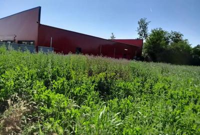 Teren de 1800 mp, în Movilița - 18