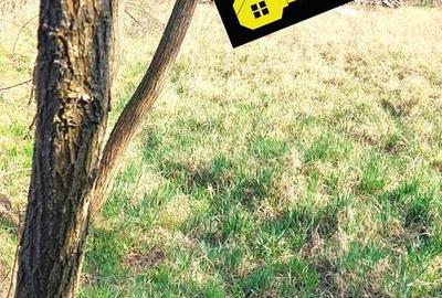 Spațiu comercial, în Paleu