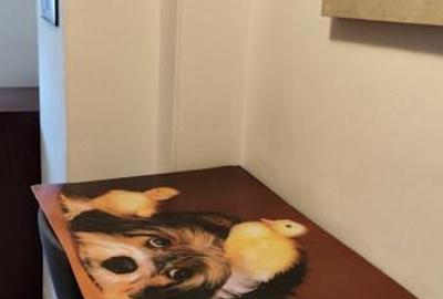 Berceni brancoveanu luica bloc nou - 7