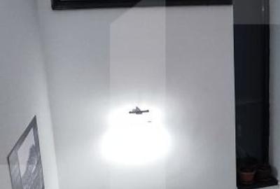 Casa duplex eleganta cu curte amenajata, in Berceni - 15