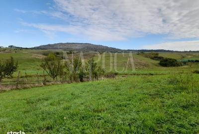 Spațiu comercial, în Central - 1