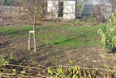 Vand casa loc.Platonesti, Jud.Ialomita - 5