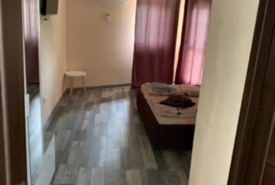 Casa de vacanta Pensiune Eselnita Clisura Dunarii - 3