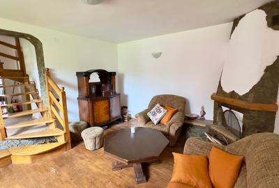 Vila vacanta Cheia - Prahova, pretabila pentru investitie - 33