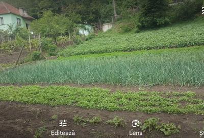 Casă cu 4 camere în Șeica Mică - 1