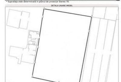 Teren de inchiriat in Berceni - 6