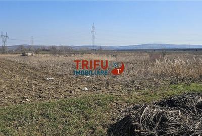 Spațiu comercial, în Central