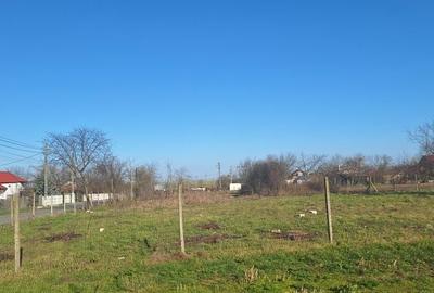 Spațiu comercial, în Nord - 3