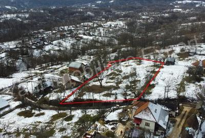 Teren de 3011 mp, în Bradu - 3