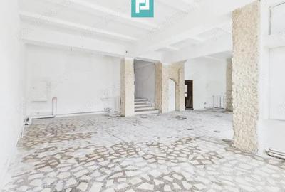 Proprietate multifunctionala central Arad - 3