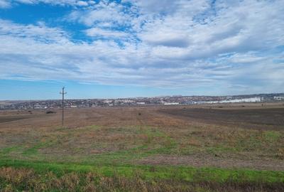 Teren 2 Ha - Gaureni, Miroslava - Zona Mall Moldova - 5