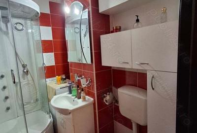 Vand apartament cu o camera,confort 1,etaj1,cartier Tudor - 4