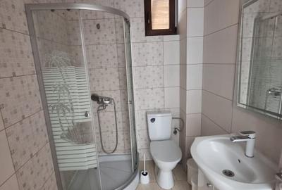 Casa P + 1 zona Lapus, 180 mp si teren 260 mp - 20