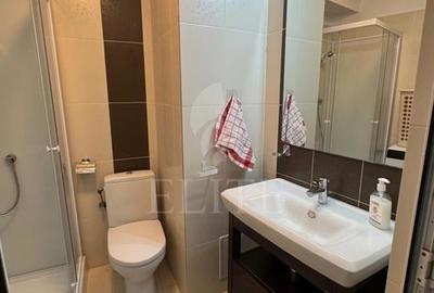 Apartament o camera în zona piata Mihai Viteazul - 9
