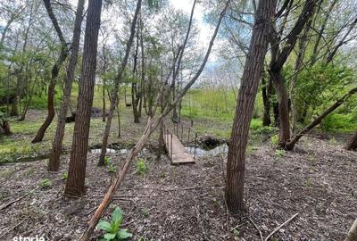 Spațiu comercial, în Malu Mare - 9