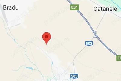 Teren de 10000 mp, în Oarja - 2