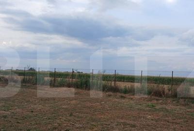 Teren intravilan in Tarian, strada Mestesugarilor,perfect pe - 1