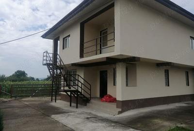 Casă cu 5 camere cu Teren 1400 Mp în Stâlpeni - 3