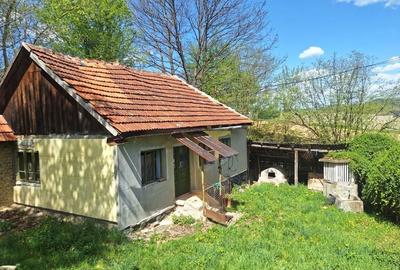 Casă cu 2 camere cu Teren 5000 Mp în Cornițel - 1