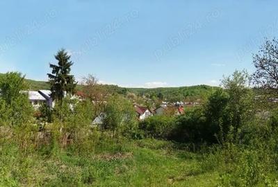 Teren de 2641 mp, în Viforâta - 3
